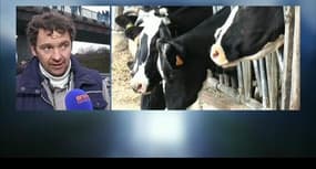 Agriculteurs: "Je perds aujourd'hui 7 centimes d'euros par litre de lait"