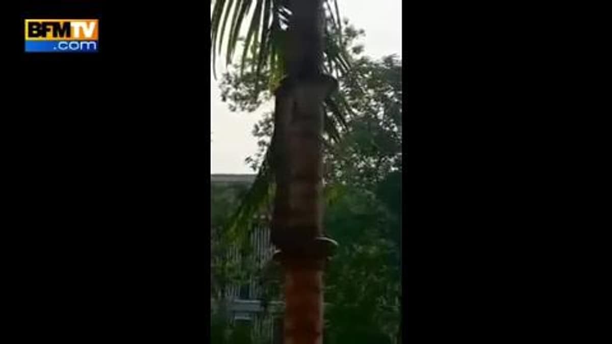 placeholder video
