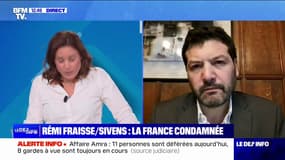 "Cette brutalisation du maintien de l'ordre va devoir cesser": l'avocat du père de Rémi Fraisse réagit à la condamnation de la France par la Cour européenne des droits de l'Homme