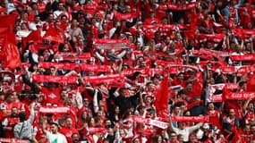 Des supporters du Stade de Reims lors de la finale de la Coupe de France, le 24 mai 2025.