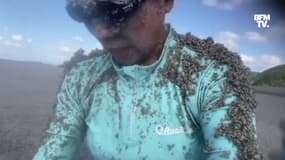 Des vagues de pierres ponces sur une plage japonaise après l'éruption d'un volcan sous-marin 