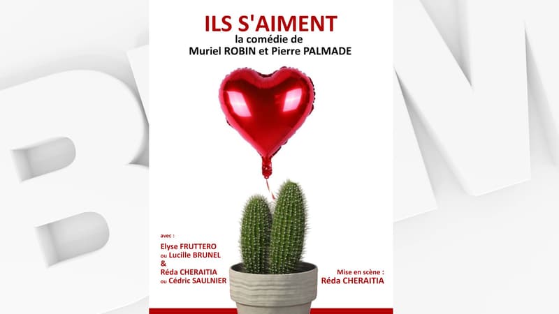 L'affiche de la pièce "Ils s'aiment", écrite par Pierre Palmade et Muriel Robin.