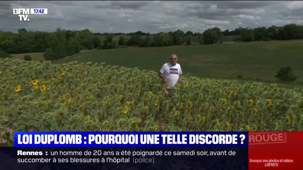 placeholder video