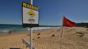 Deux attaques mortelles de requins ont secoué les plages australiennes en moins d'une semaine.