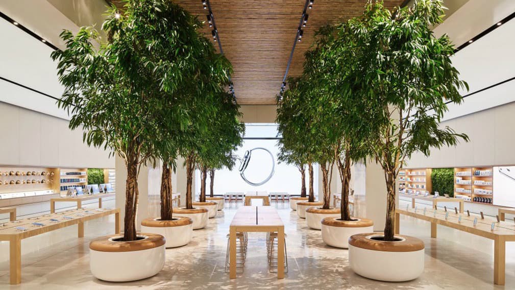 Apple Store