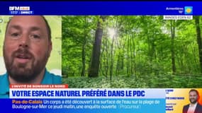 Pas-de-Calais: un concours pour déterminer l'espace naturel préféré des habitants du département