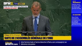 "La reconnaissance de la Palestine doit aider à garantir une paix juste et définitive", déclare le roi d'Espagne à l'ONU