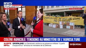 Motion de censure: Cyrielle Chatelain dénonce "l'insincérité d'Emmanuel Macron"' sur le Mercosur