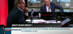 Brunet & Neumann: Brexit or not Brexit ? - 08/05