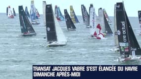 Le départ de la Transat Jacques-Vabre a été donné ce dimanche