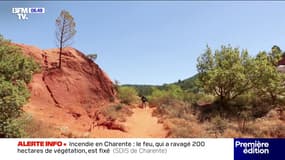 Vacances: en pleine Provence, ces rochers vous feront voyager au Far West 