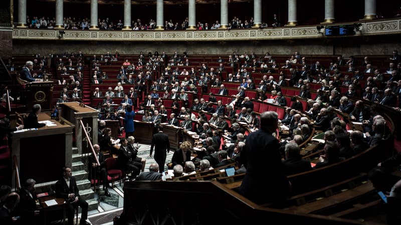 Les députés LREM ont donné leur feu vert pour les propositions de loi contre les "fake news" 