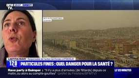 Particules fines : quel danger pour la santé ? - 30/03