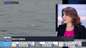Par'is green: La qualité de l'eau de la Seine s'améliore
