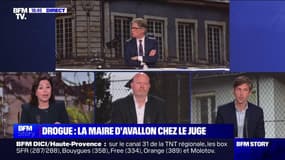 Story 6 : saisie de drogue, six personnes dont la maire d'Avallon présentées à un juge - 10/04