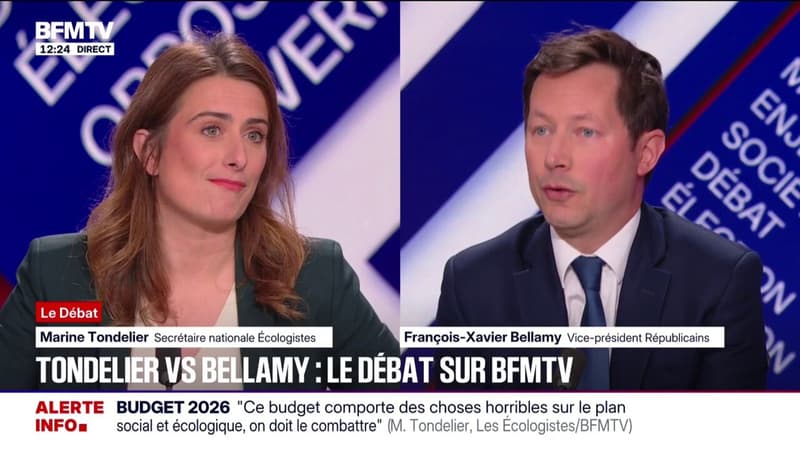 Augmenter les impôts? "On peut aller toujours plus loin dans ce délire fiscal, cela ne résoudra pas les problèmes des Français", avance François-Xavier Bellamy (vice-président des Républicains)