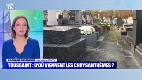 BFMTV répond à vos questions : Toussaint, d'où viennent les chrysanthèmes ? - 01/11