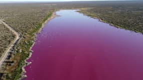 Un lac rose inquiète les habitants de Trelew, en Argentine