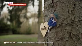 "Louise, les mystères d'un crime insensé" : revoir l'enquête de BFMTV