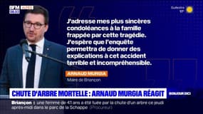 Chute d'arbre mortelle à Briançon: le maire, Arnaud Murgia, réagit