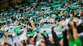 Des supporters de Saint-Etienne