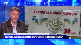 Zaporijia: la crainte de "fuites radioactives" - 27/08