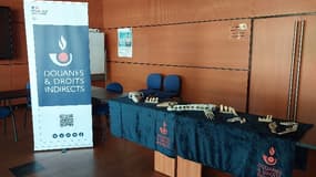 Deux ans après leur saisie en 2023, les ossements d'un mosasaure rejoignent les collections du laboratoire de paléontologie de Poitiers. 