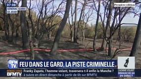 L'incendie qui a ravagé près de 500 hectares dans le Gard serait d'origine criminelle