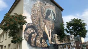 À Lyon, les habitants du quartier Montchat se mobilisent pour sauver une fresque menacée de destruction