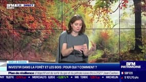 Sur le green: Investir dans la forêt et les bois, pour qui et comment ? - 17/03