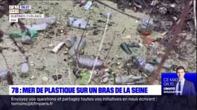 Yvelines: une décharge de plastique flottante sur un bras de la Seine