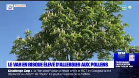 Var: comment lutter et éviter contre les allergies aux pollens ? 