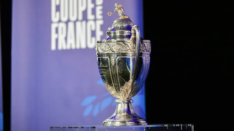 DIRECT. Coupe de France (32es de finale): au tour de Lille, Brest et Angers de jouer