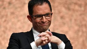 Benoît Hamon pense que le vote de François Hollande à la primaire à gauche aurait été "un peu étrange". (Photo d'illustration)