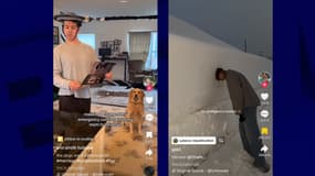 La tendence "contact d'urgence" sur Tiktok. 