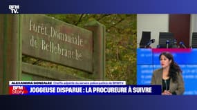 Story 2 : Joggeuse disparue, enquête ouverte pour "enlèvement et séquestration" - 09/11