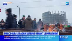 Mercosur: les agriculteurs se mobilisent devant le Parlement européen de Strasbourg