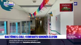 Bactérie E. Coli: quatre enfants soignés à Lyon depuis décembre