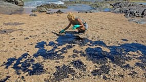 Une bénévole nettoie le pétrole d'une plage à Lauro de Freitas, dans l'Etat de Bahia au Brésil, le 3 novembre 2019