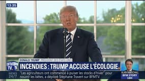 Pour Trump, les incendies sont amplifiés par les lois environnementales... et propose plutôt d'abattre des arbres