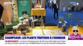 Hautes-Alpes: les plans truffiers du Champsaur à l'honneur au Salon de l'Agriculture