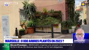 Marseille: 8000 arbres plantés en 2023? 