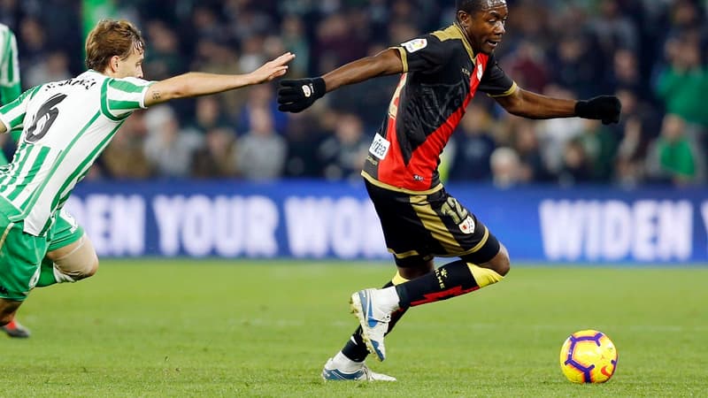 Imbula