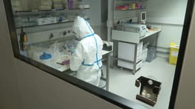 Un virologue du centre national de référence des virus des infections respiratoires de l'Institut Pasteur, fin novembre 2025.