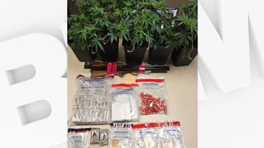 Plusieurs kilos de drogues et une arme ont été saisis.