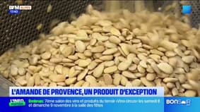 L'amande de Provence, un produit d'exception