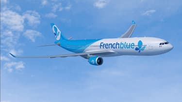Les premiers vols entre Paris-Orly et La Réunion seront opérés par un Airbus neuf A330-300 de 378 places. Deux Airbus neufs A350-900 de 411 places seront ensuite affectés à cette desserte.