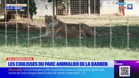 On a RDV dans les coulisses du Parc Animalier de la Barben