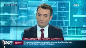 Affaire Benalla: Florian Philippot dénonce "beaucoup de mensonges"