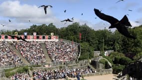 Un spectacle d'oiseaux au Puy du Fou, le 14 août 2018